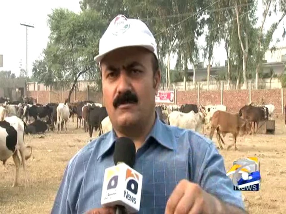 PAT Sacrificial Animals - Geo Reports - 05 Oct 2014