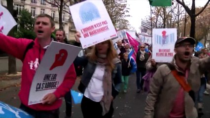 Grosse mobilisation de La Manif pour tous à Paris et Bordeaux
