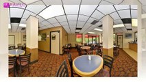 Comfort Inn & Suites Alexandria, Alexandria, United States