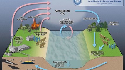 Let's Play Deus Ex: Lecture 40