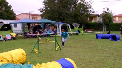 Kiara Agility Nova Dedinka oct 2014 13