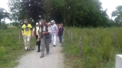 wandelen in de Moerenburg tijdens teamuitje 2014