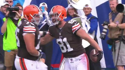 Hoyer 1-yard touchdown pass