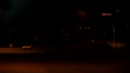 Kobani'de Ölen Ypg'li Ceyhan'da Toprağa Verildi -Ek