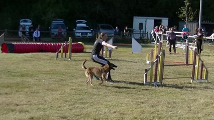 Ballan Miré oct 2014 jumping +