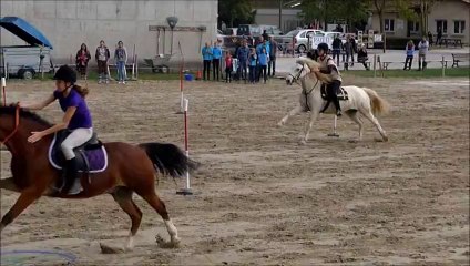 carton, concours à la bervillière, What's Up