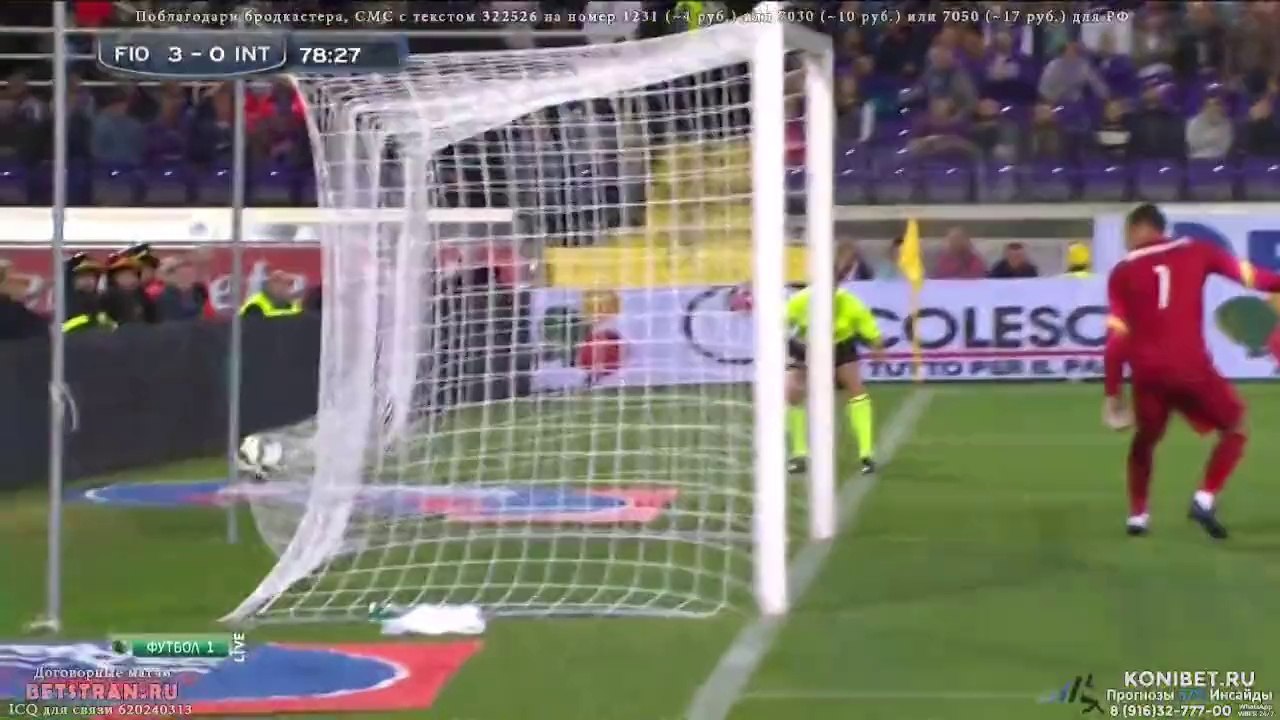 N.Tomovic goal (Fiorentina 3-0 Inter) HD