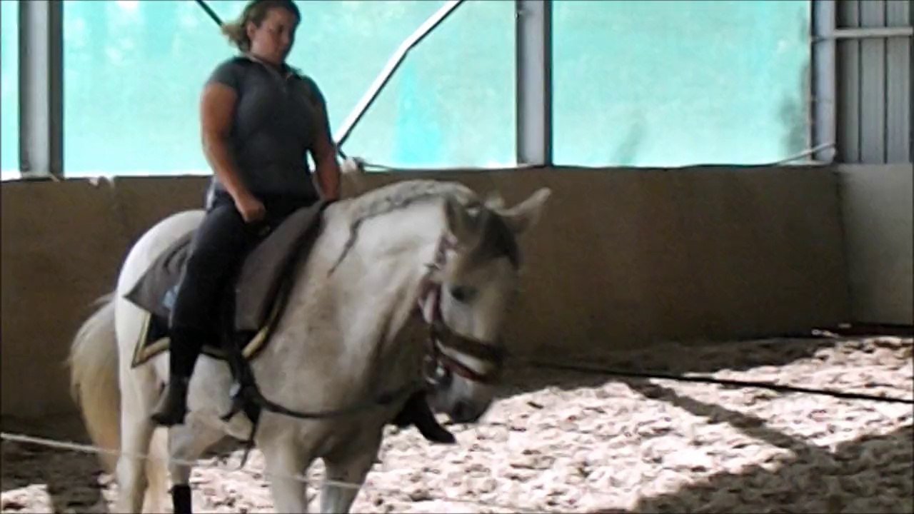 stage voltige avec Massondo