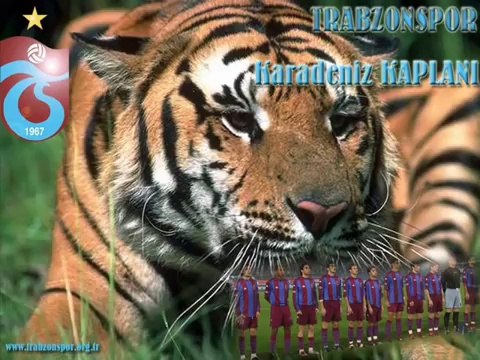 güngör yıldız.....Kazım Koyuncu-Uy Aha