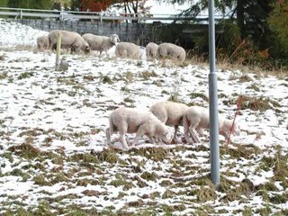 güngör yıldız.....Mehmet Akyildiz-Gitme Canan2