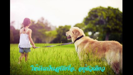 จูบลมชมเงา - ดอน สอนระเบียบ