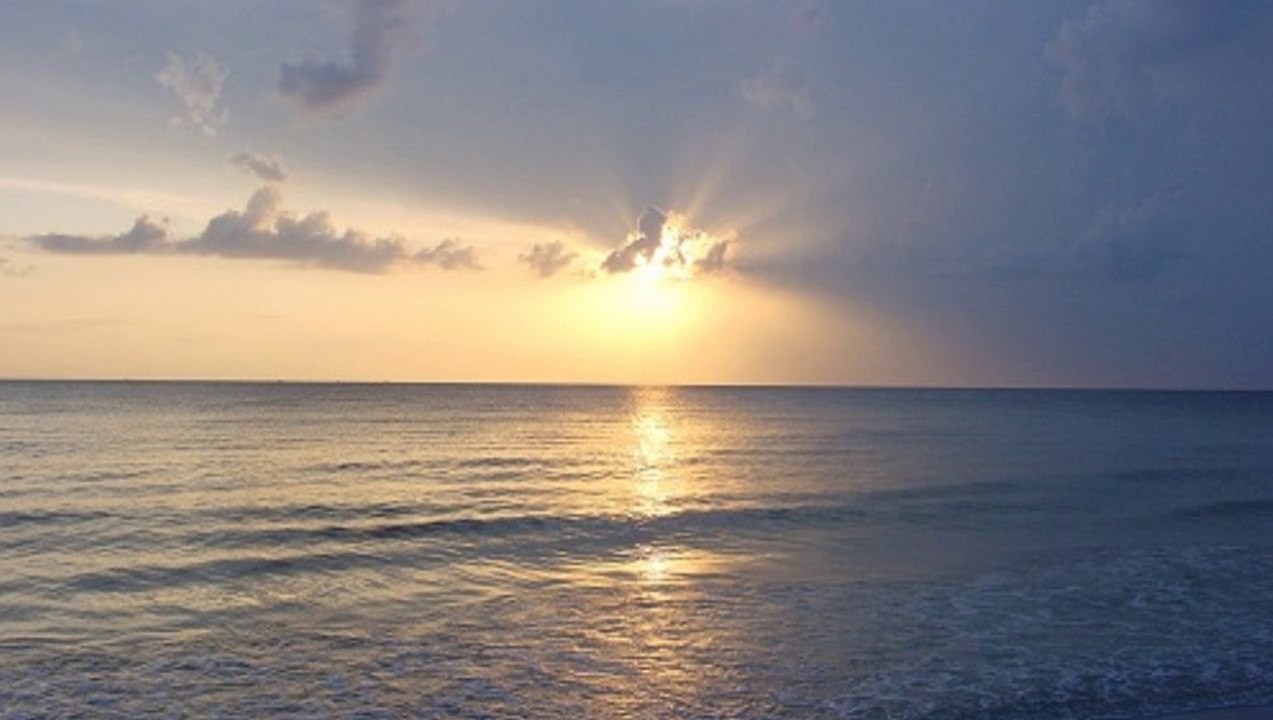 Danny Sawrij | Recycling and the future of your finances