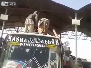 איך להעמיס חמור על אוטובוס