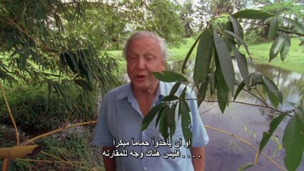 حقيقة ذوات الدم البارد الحلقه الثانيه البرمائيات : ارض الغزاة BBC