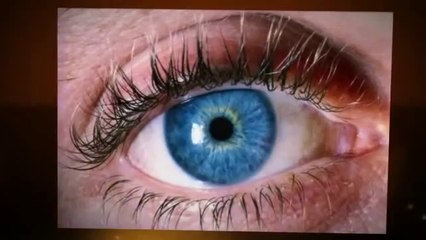 8 Nutrients For Women Should Know