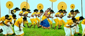 Brother of Bommali movie Promo song 3 Allari Naresh Videos