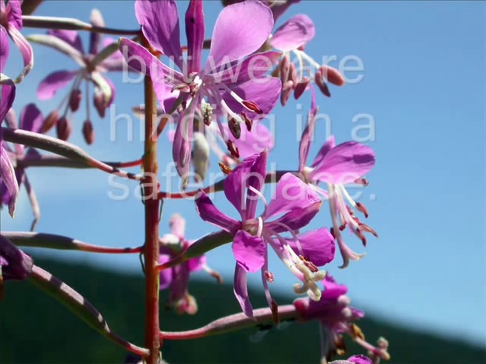 ♥Colbie Caillat - Bubbly (lyrics)♥