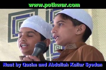 kallar syedan