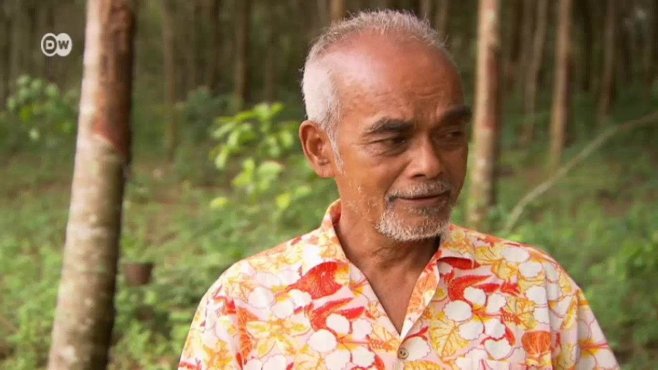 Lebender Hochwasserschutz in Thailand | Global 3000