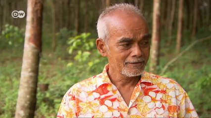 Thailand: Living flood control | Global 3000