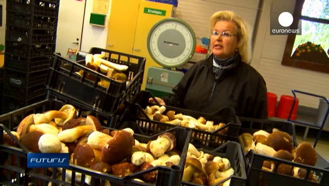 La forêt regorge de petits trésors