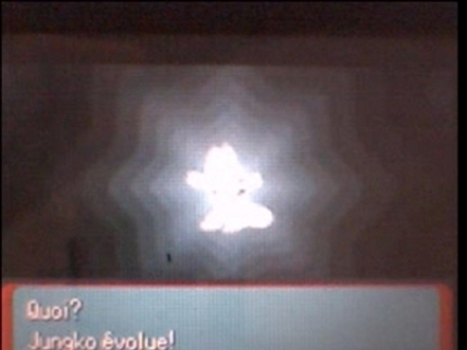 Evolution d'arcko shiney
