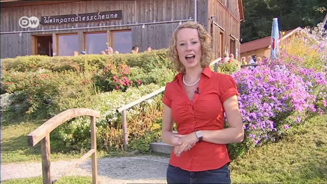 Franconia y sus vinos: tres sugerencias | Destino Alemania