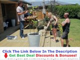 Online Dog Trainer Courses Uk Discount   Bouns