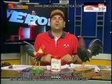 PROGRAMA-TECNODEPORTES-3-10-14-PUERTA-DEL-SUR-5TA.COPA