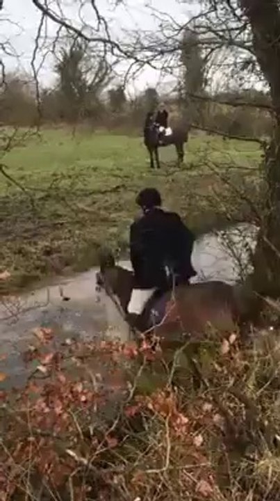 girl horse jump