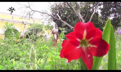 Mere Sary Gunna (Roma) - Discover the Meaning and Significance 🎶