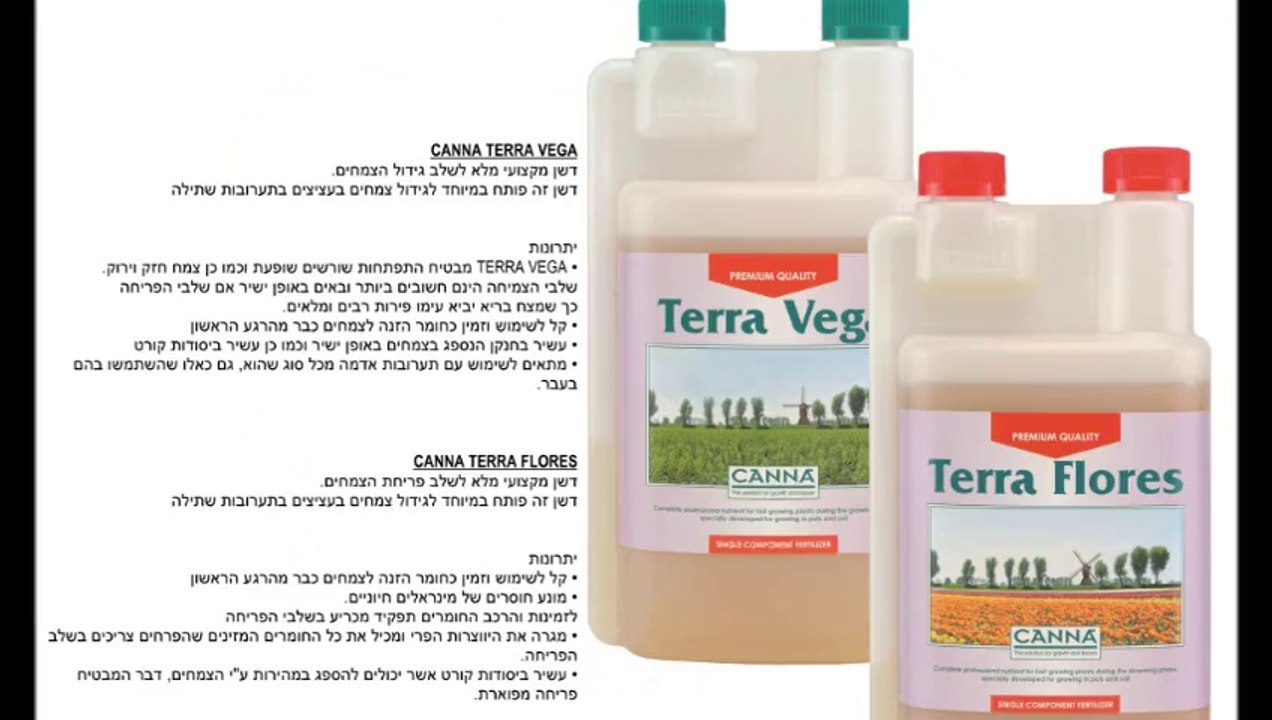 Canna terra