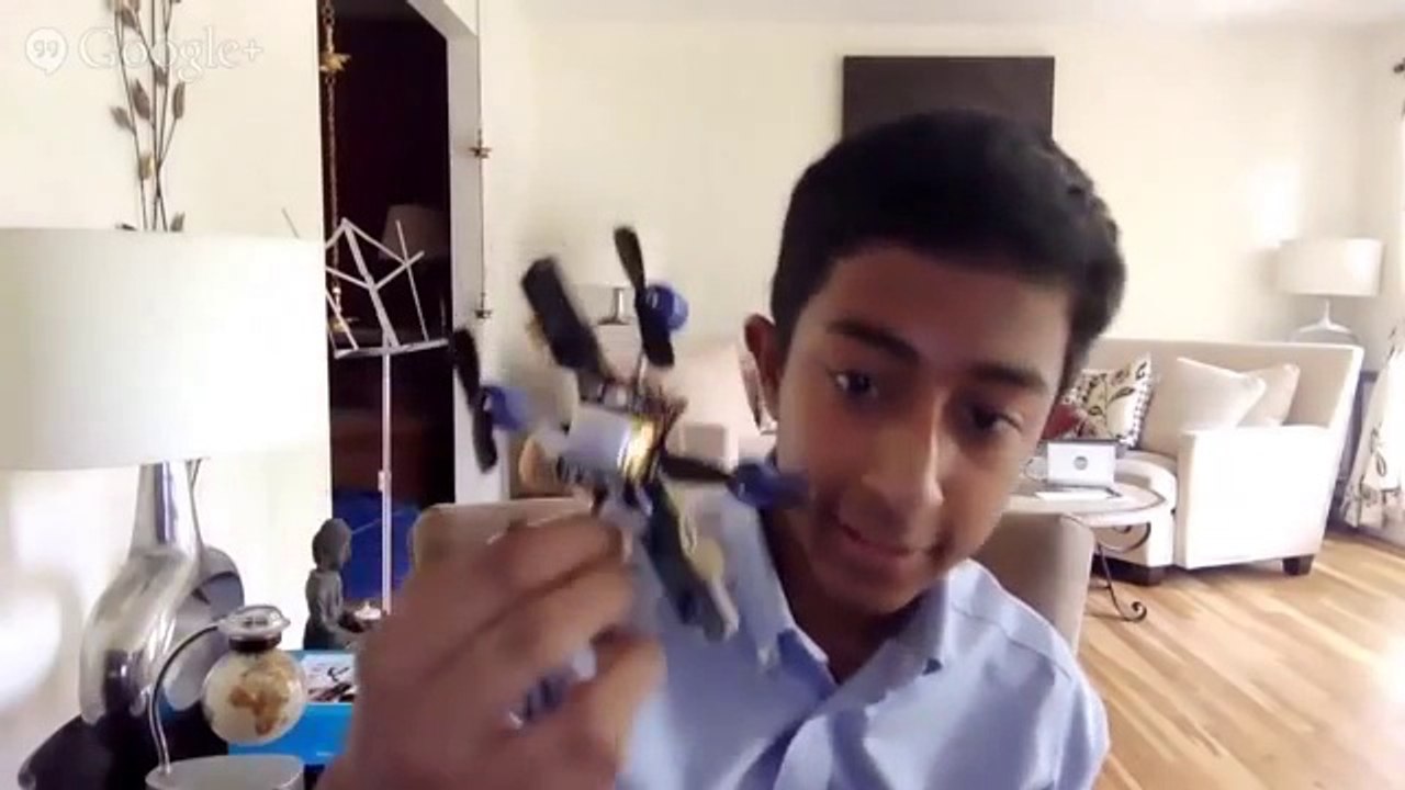Fruit-Fly Inspired Flying Robots