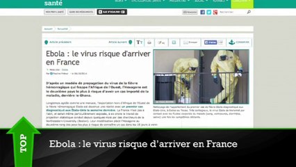 Top/Flop : le virus Ebola bientôt en France ?, les photos privées d'une actrice de Plus Belle La Vie