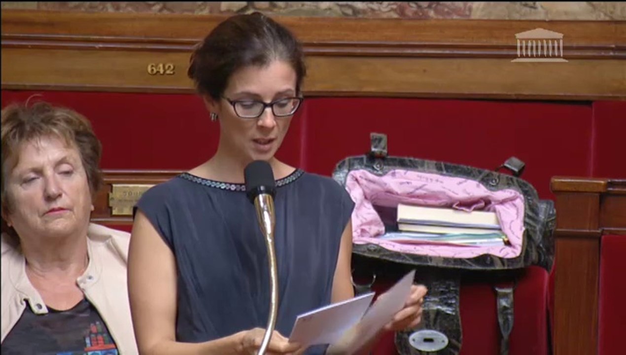 Transition énergétique - Intervention de Barbara Romagnan en séance sur la Loi de Transition Energétique - Assemblée Nationale