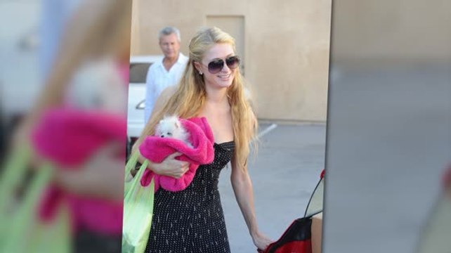 Paris Hilton Introduces Her New Pet Pomeranian Prince Hilton