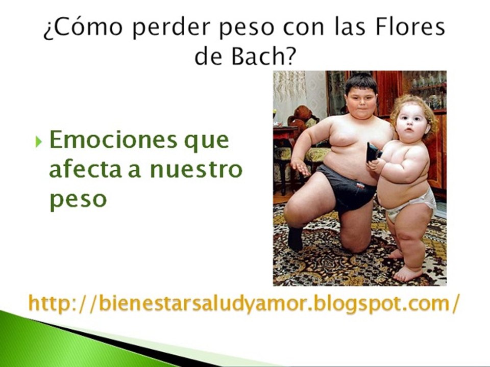 ¿Cómo perder peso con las Flores de Bach?