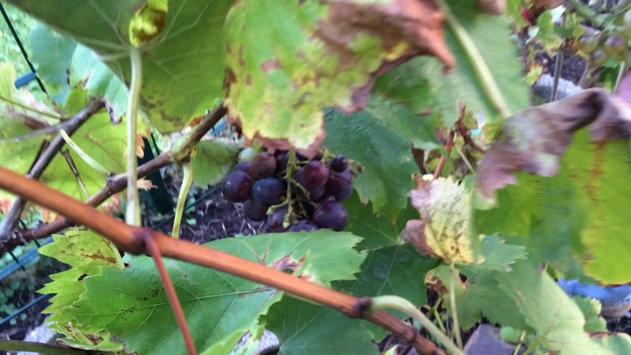 Em casa do Eduardo 2014