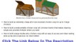 Building A Chicken Coop For Cold Climates Discount + Bouns