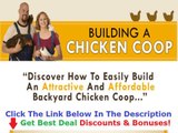 Building A Chicken Coop For Meat Chickens Discount   Bouns