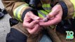 Des pompiers sauvent une famille de hamster en fabricant des masques a oxygène sur mesure