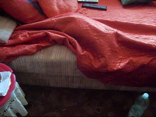 Cały ten zwierzyniec