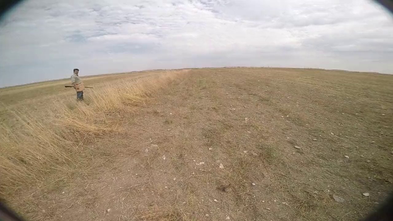 ZAGOR  FERMA APORT(2)