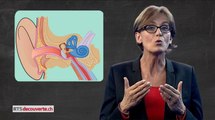 Pourquoi j’ai mal aux oreilles ?