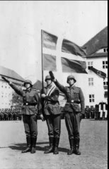 Vi er dansk legionærsyge