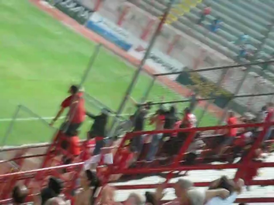 nea-apol7