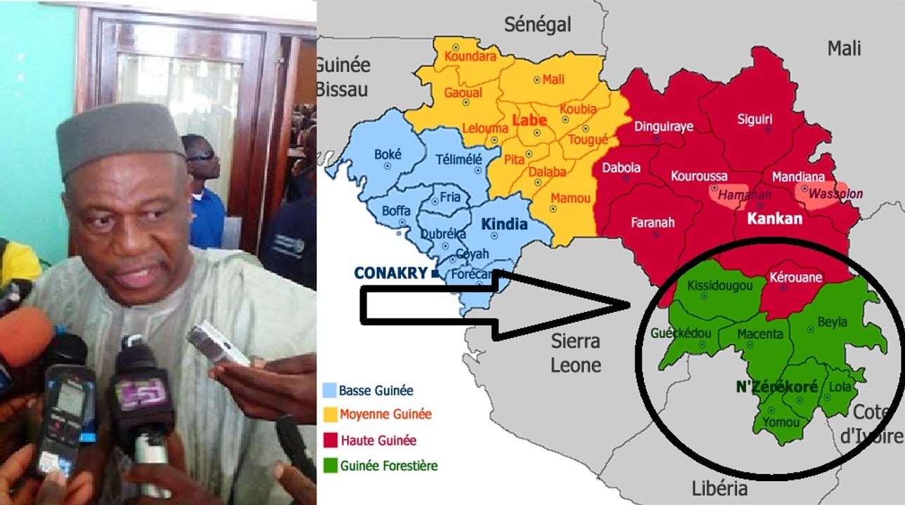 WWW.GUINEEINFORMATION.FR  -Amadou Damaro Camara, président du groupe parlementaire Alliance Arc-en-ciel, la majorité présidentielle
