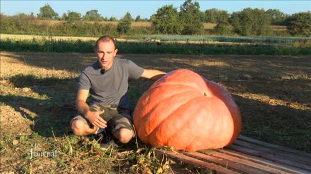 Concours du plus gros potiron : Entrevue avec Adrien Fayola