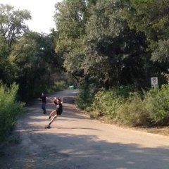 Crash en skateboard par Ivy Martin