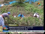 Ecuador supera meta de reducción de pobreza por ingresos